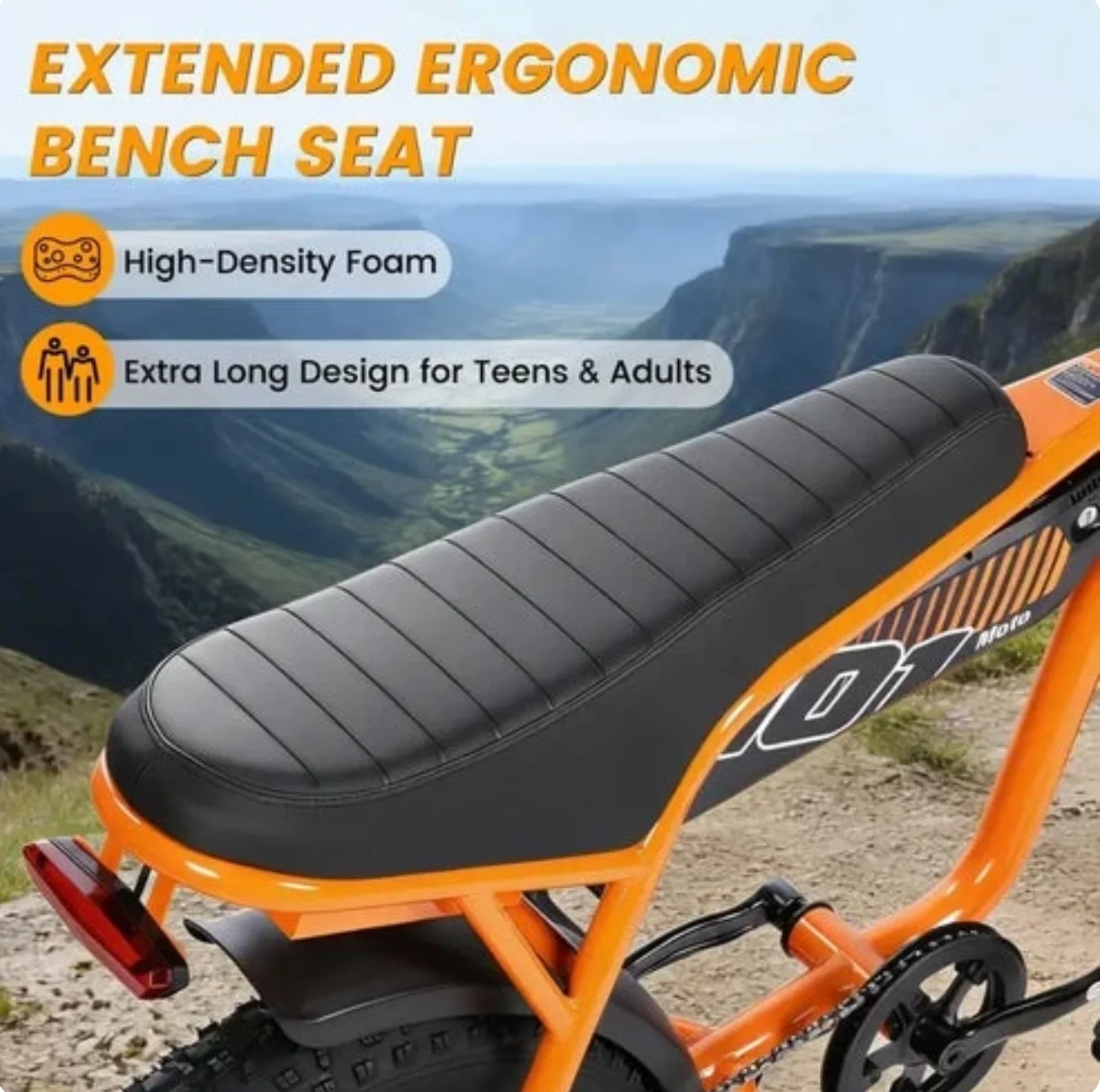 Velox V101 Ebike