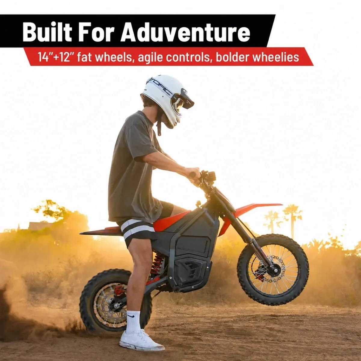 Off-Road Electric Bike