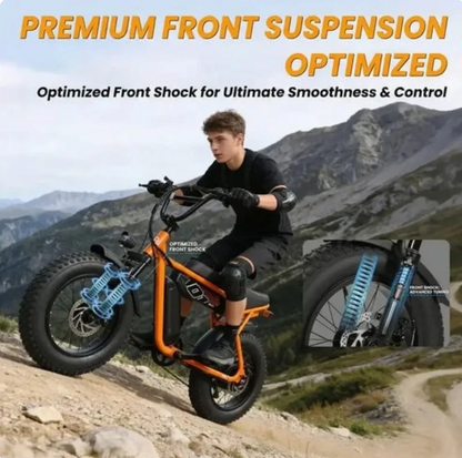 Velox V101 Ebike