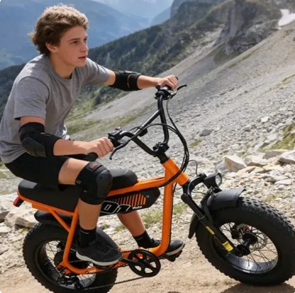 Velox V101 Ebike