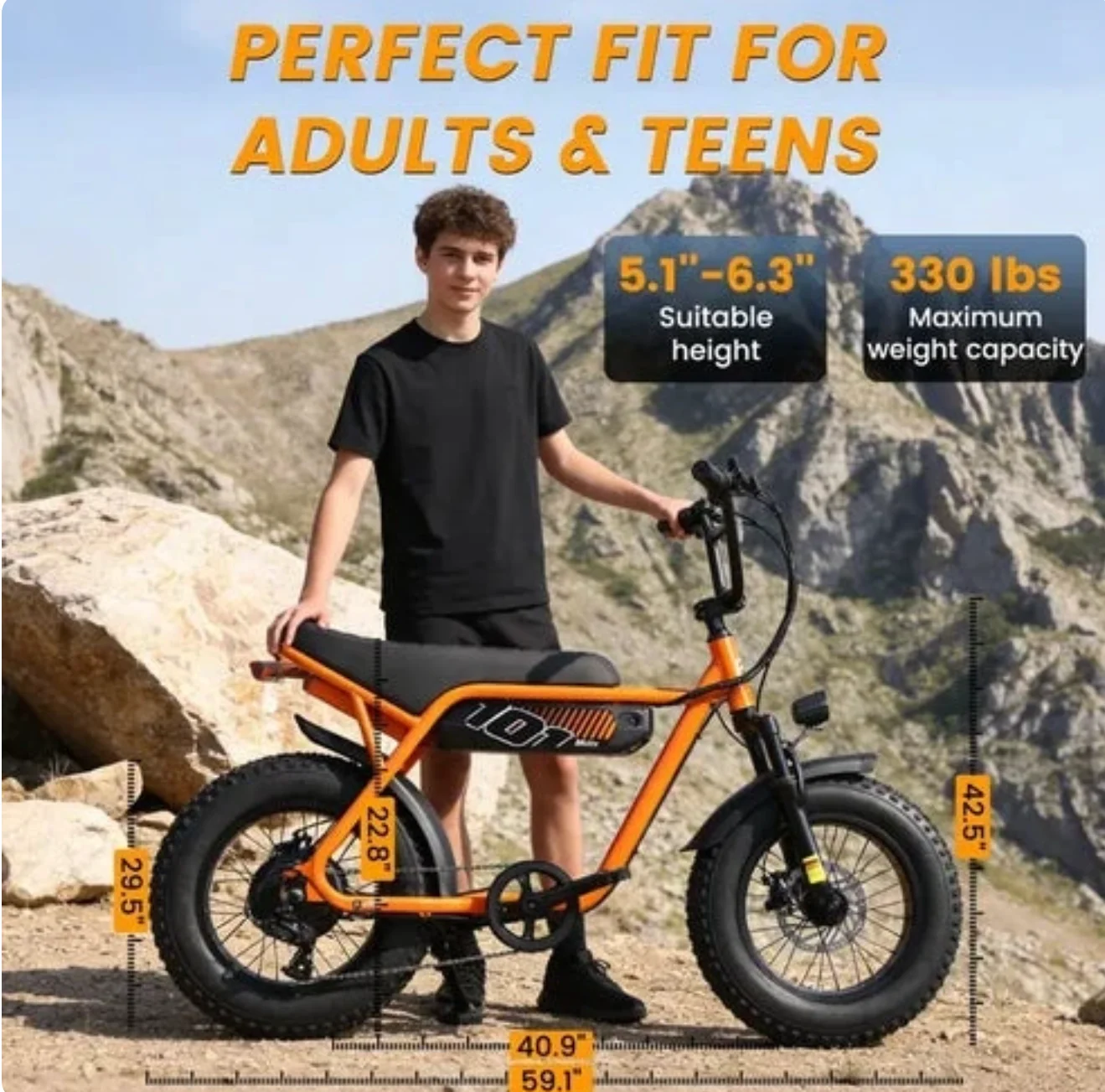 Velox V101 Ebike