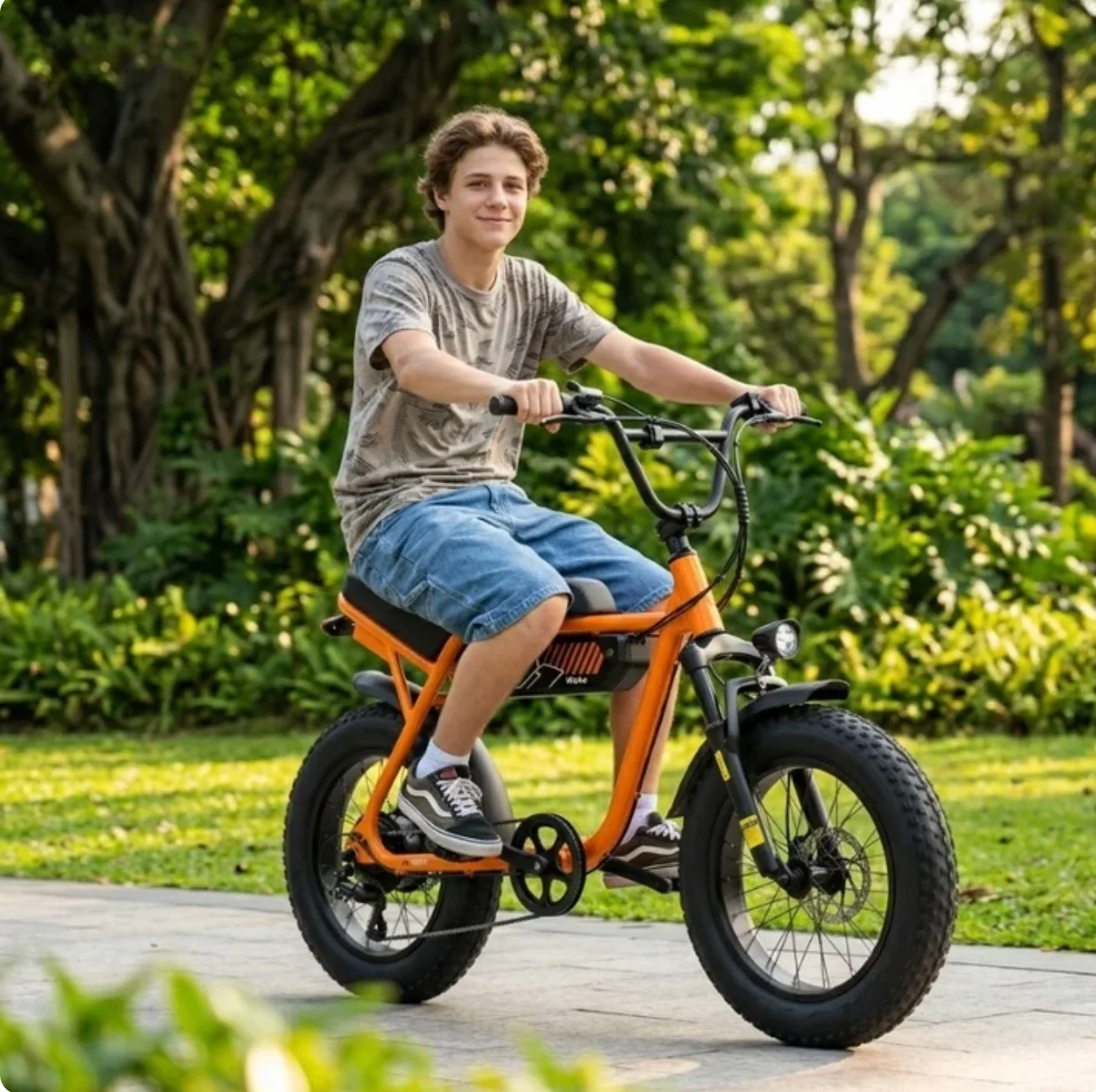 Velox V101 Ebike
